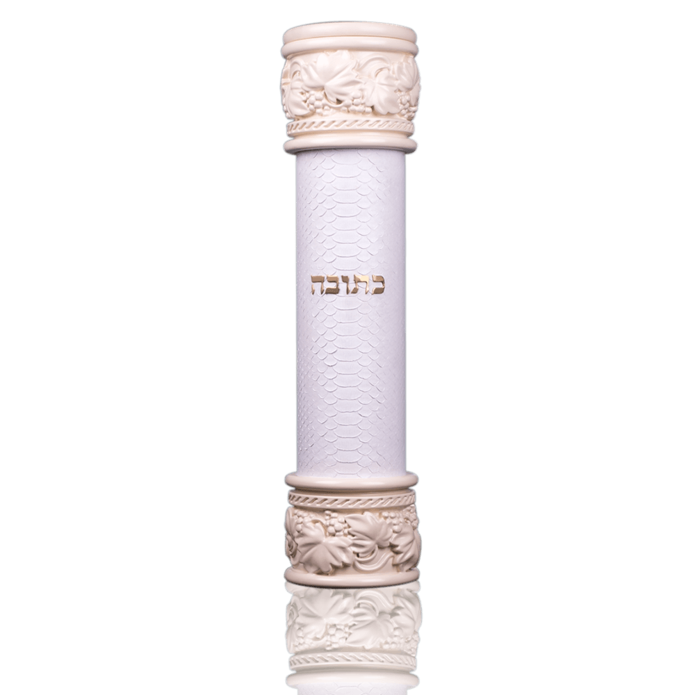 Case for Ketubah made of python