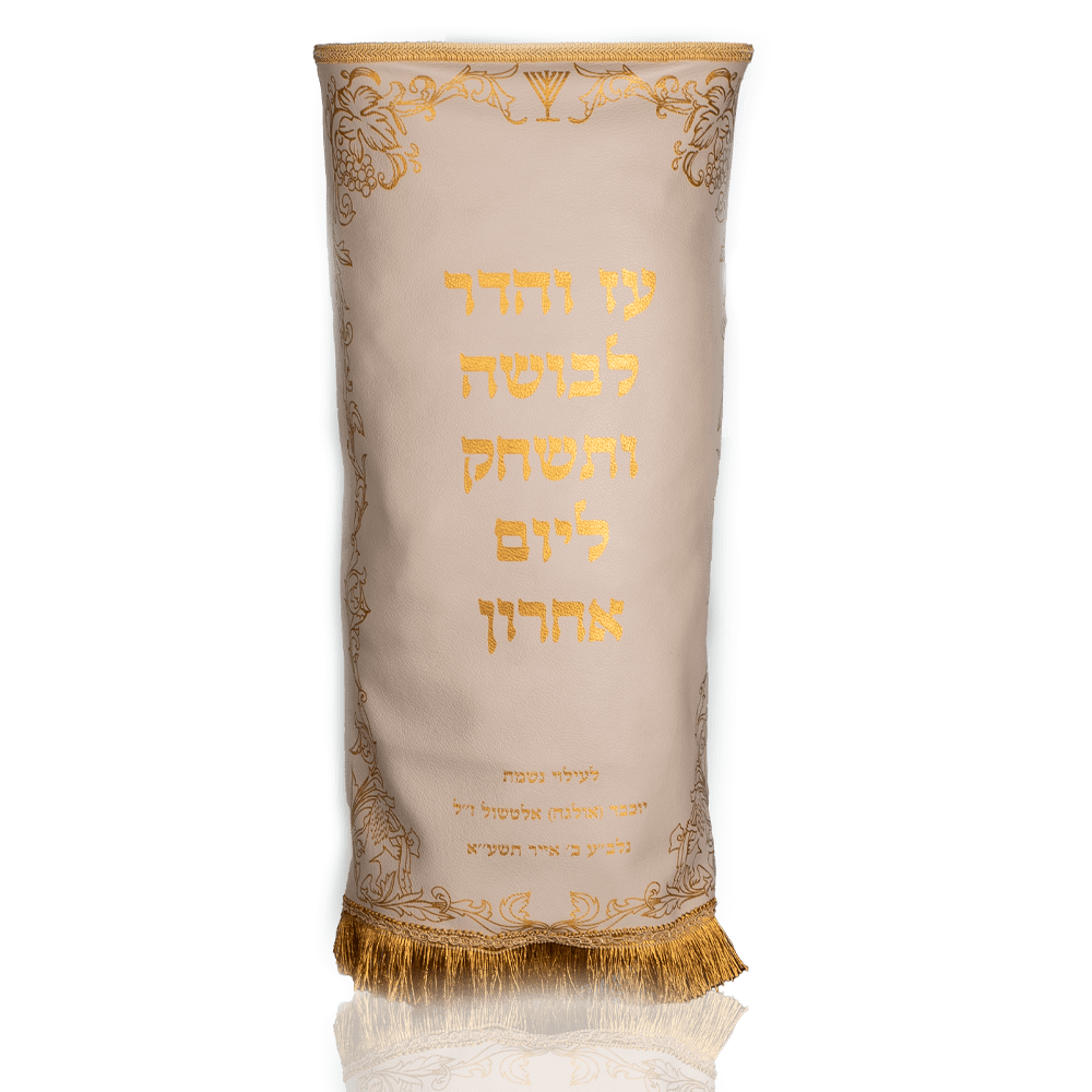 Shirt for Torah